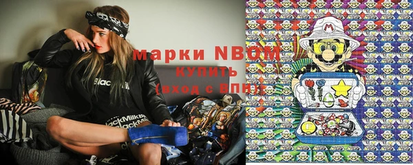 индика Алексин