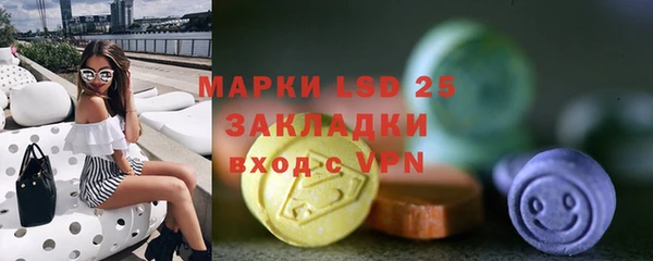 индика Алексин