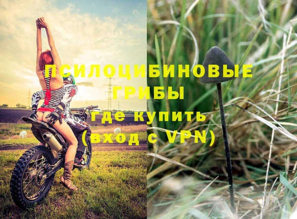 твердый Алексеевка