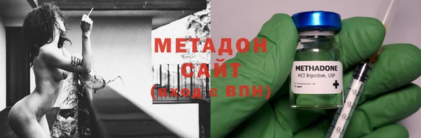 индика Алексин