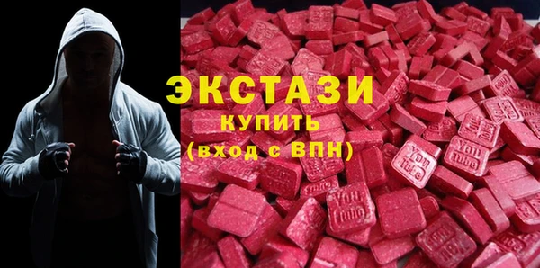 индика Алексин