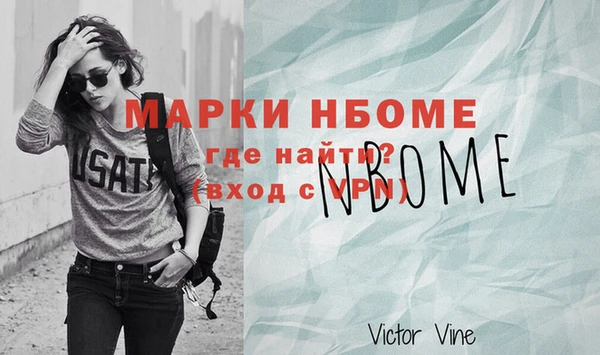 индика Алексин