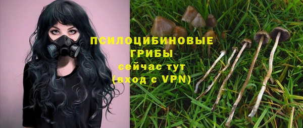 индика Алексин