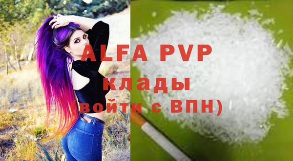 крисы Алзамай