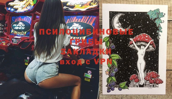 твердый Алексеевка