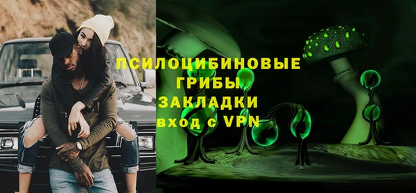 твердый Алексеевка