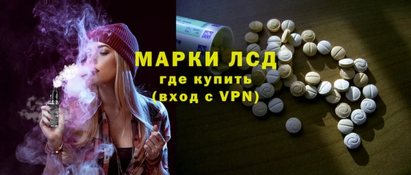 индика Алексин