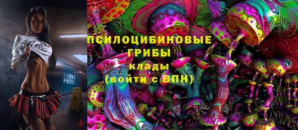 твердый Алексеевка