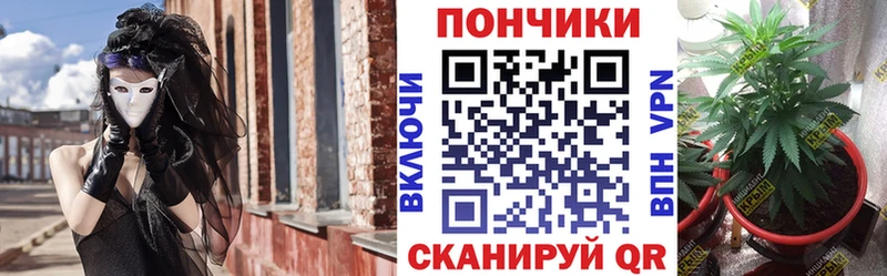 Канабис конопля  купить  сайты  Ветлуга 